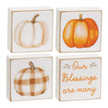 Many Blessings Patchwork Pumpkin