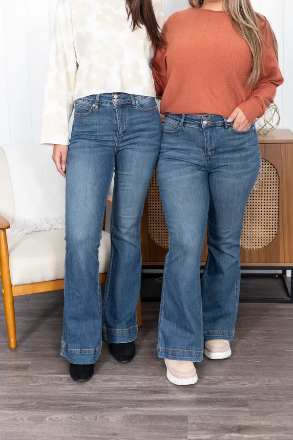 The Francesca Tummy Control Judy Blue Jeans