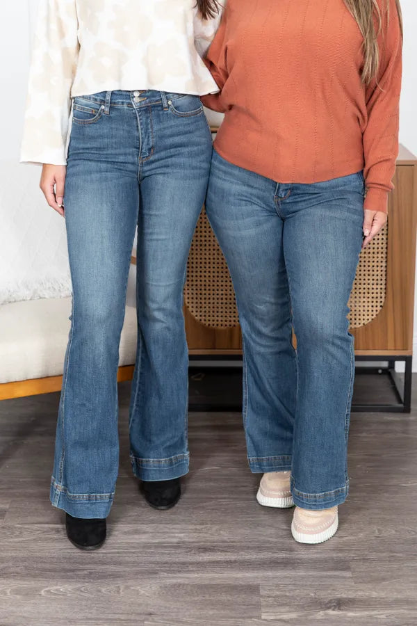 The Francesca Tummy Control Judy Blue Jeans
