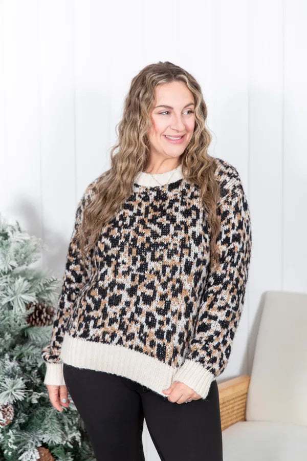 All About The Details Sweater