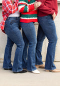 The Dallas Tummy Control Judy Blue Jeans