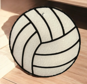 Volleyball Freshie